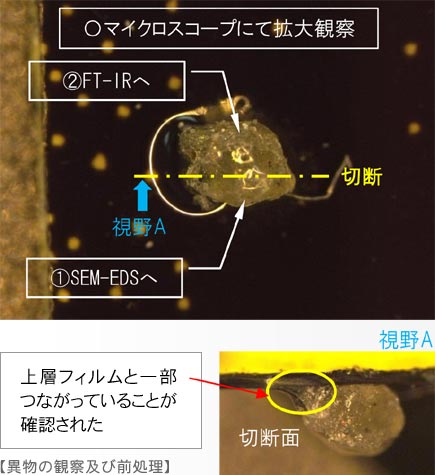 付着物をマイクロスコープにて拡大観察 切断しての観察により、上層フィルムと一部つながっていることが確認された