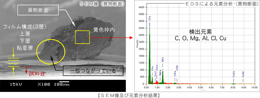 SEM像及び元素分析結果 SEM像（異物断面）フィルム構成(3層)上層下層粘着層に分かれている 異物の一部はフィルムとつながっている EDSによる元素分析（異物断面） 異物断面の元素分析結果 検出元素 C，O，Mg，Al，Cl，Cu