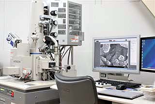 超高分解能電界放出形走査電子顕微鏡