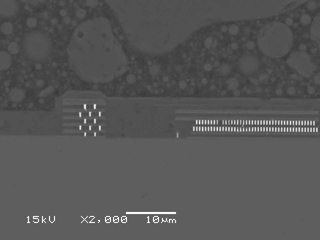 チップ 断面 ×2000